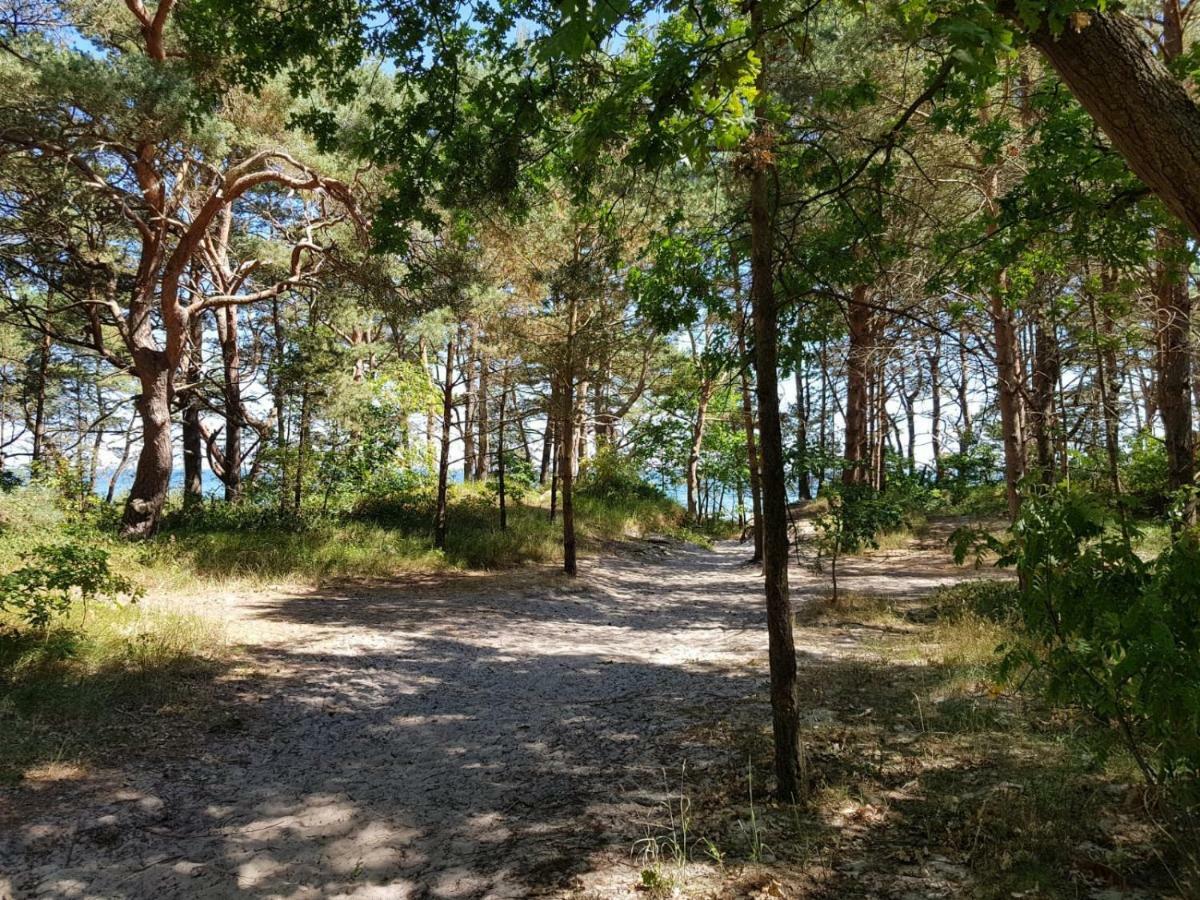 Heimathafen Prora, 3.Og Mit Meerblick Binz Ngoại thất bức ảnh